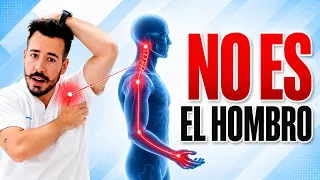 ¿Dolor de brazo? El culpable NO es tu hombro (Cervicobraquialgia)