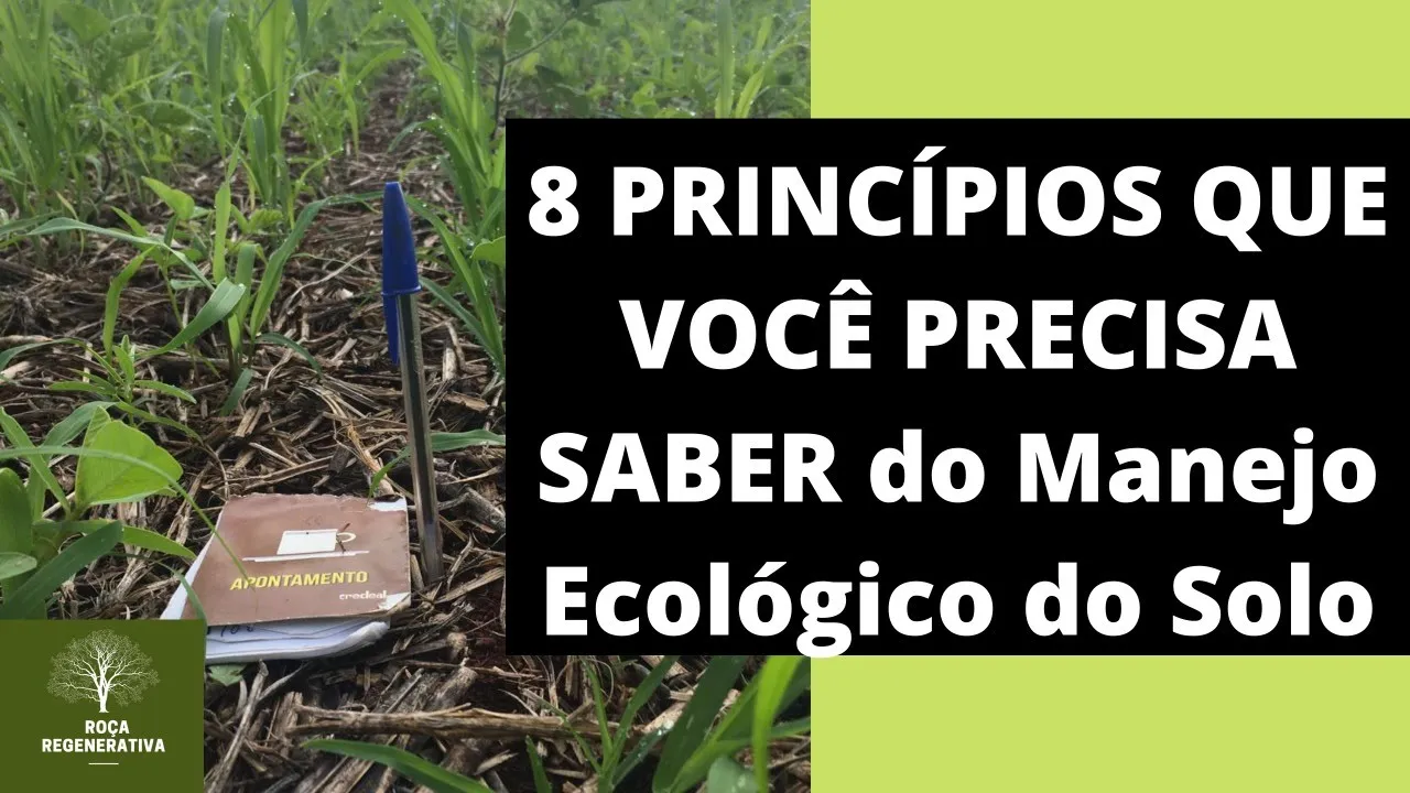 Manejo Ecológico do Solo - 8 princípios que você precisa saber.