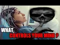 The Invisible Force Shaping Your Thoughts