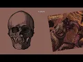 Bodysnatcher - Violent Obsession [ISOLATED DRUMS]