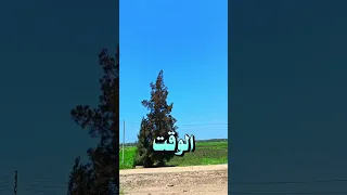 اللي يدعي ربنا بالدعوة دي يغفر الله له ذنوبه كلها ❤️‼️