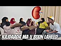 Download Lagu JACEYLKAAGA KILIDADA MA U BIXIN LAHEED KUWAAN XAASINIMO