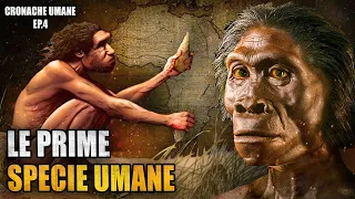 Quando Comparve l'Uomo? | Cronache Umane Ep. 4