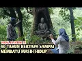 Lagu Viral Nyata !! Hendak Kehutan Mencari Kayu Warga Temukan Orang Bertapa Sampai Membatu Masih Hidup