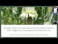 Lunchtime Lecture Series Nitrogen fixation in maize landraces from Oaxaca Mexico
