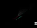 Electronic Tracks of the Year 2024