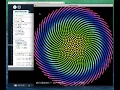 Phyllotaxis