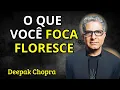 Lagu Sua atenção é a chave da criação – Deepak Chopra