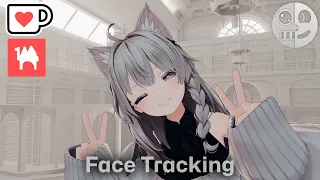 Shinano - Face Tracking Add-on