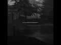 Download Lagu Dandelions #fyp | with Music suara asli - sadvibes🥀 - Sadvibes🥀 (tiktok.com)TikTok - nightmoonxyz