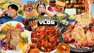랜덤 배달깡으로 10만원 날린 걸스나잇💸 먹방 브이로그 | 봉추찜닭 냉채족발 치즈등갈비 고디바소라빵 햄버거 파스타 바지락칼국수 후무스 치즈캐이크 편의점도시락 Mukbang VLOG