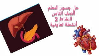 حل جسور التعلم الصف الثامن النشاط 2 أنشطة تعاونية علوم رياضيات انجليزي عربي 