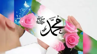 حبيبي يا محمد يا نعم الرسول دندنها