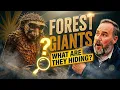 What s Hiding in Bernheim Forest Giant Wood Sculptures You ve Never Seen