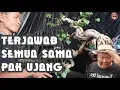 AKHIRNYA DI JELASKAN SEMUA SAMA PAK UJANG || PART 2 
