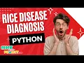 Python Image Processing Project - Rice Disease Diagnosis