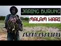 Download Lagu Jaring burung ayam ayaman|pikat burung migrasi|pengunjung musim hujan.