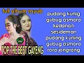 Download Lagu TAYUB FULL ALBUM TOP THE BES GAYENG 2025