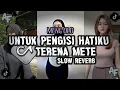 Download Lagu DJ UNTUK PENGISI HATIKU X TERENA METE SLOW REVERB || VIRAL TIKTOK!! Ft. Tata Fvndy Rmx