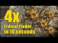 Easy Erdleaf Flower Farm - Elden Ring