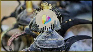 محبوبي يا محبوبي  موسى حافظ دندنها