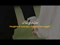 Haytham Shaker - Hekeitna Kemlet || Terjemahan Indonesia