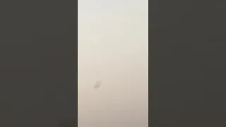 صوت طائر الططوة دندنها