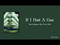 Noel Gallaghers High Flying Birds- If I Had A Gun [Lyrics]