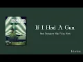 Download Lagu Noel Gallaghers High Flying Birds- If I Had A Gun [Lyrics]