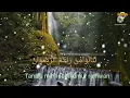 Sholawat Nabi Penawar Rindu, Ihdzaru Lyric ; Arab \u0026 Latin