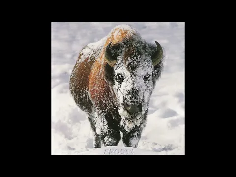 Frosty (Full Album) (1996) - Electronic, Downtempo, Dub, Acid Jazz, Trip-Hop compilation (Waveform)