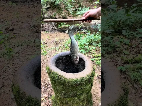 Kuyuda Lüfer Pişirme – Doğada Balık Fırını |  Primitive Fish Oven Cooking  in Earth Pit