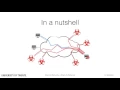 DDoS Reflection and Amplification - Introduction