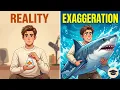 How to Use Exaggerate English Vocabulary