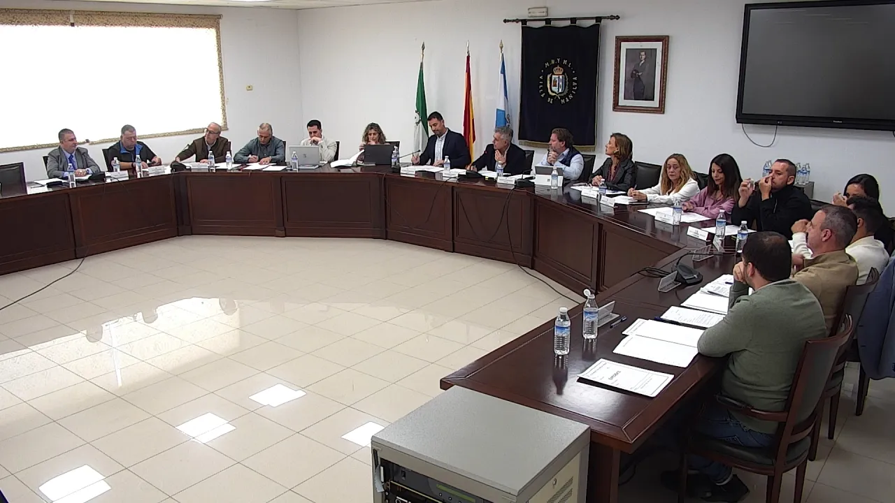 Pleno ordinario