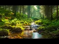 Download Lagu Музыка лечит сердце и сосуды🌿 Успокаивающая музыка восстанавливает нервную систему,расслабляющая #34