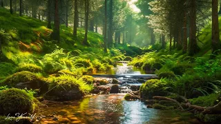 Music Heals The Heart And Blood Vessels Calming Music Restores The Nervous System Relaxing 