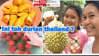 Download THE YELLOW OF DUREN THAILAND UNTIL THE BIRTH OF A DOG AMAIPERRY MP3