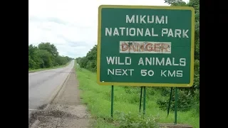 hiki ndicho kilichotokea mikumi wakati mvua ikinyesha