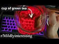 the fascinating side of reddit