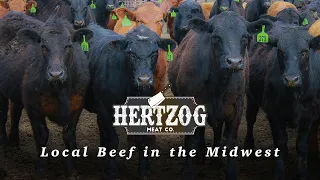 The Art of Meat Processing A Look Inside a Local Plant