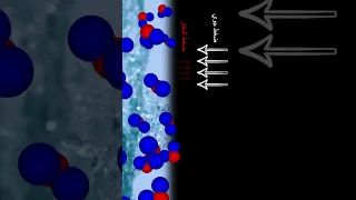 ما هي درجة حرارة غليان الماء Science Experiment اكسبلور ترند Water Physics معلومات 