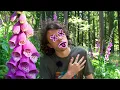 Poisonous plant foxglove - True Crime Van Gogh and medical history