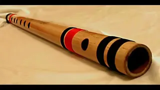 song pankh hote to ud aati re on flute