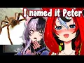 Bae Shares Her Life Experience With Spider IRL