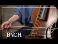 Download Lagu De viola da gamba | Nederlandse Bachvereniging