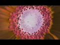 Chad Lawson - irreplaceable (sleep rework)