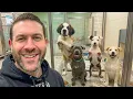I Adopted Forgotten Dogs From A Local Shelter