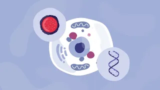 Batten Disease and Gene Therapy