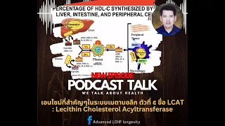 LCAT คืออะไร และมีบทบาทสำคัญอย่างไรต่อการจัดการคอเลสเตอรอลในร่างกาย
